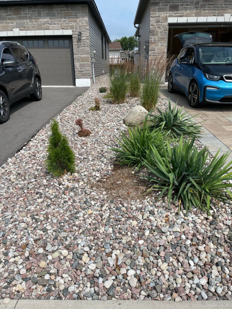 Arizona style landscaping 2