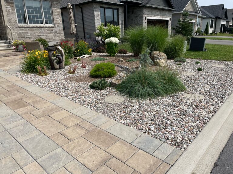 Arizona style landscaping