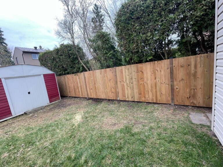 WhatsApp Image 2025-03-30 at 21.04.26_14a7fa2b