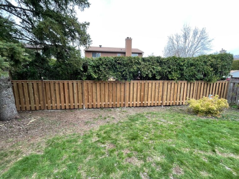 WhatsApp Image 2025-03-30 at 21.04.39_5574ca25