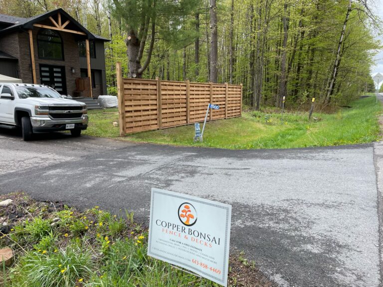 WhatsApp Image 2025-03-30 at 21.43.26_0153c707