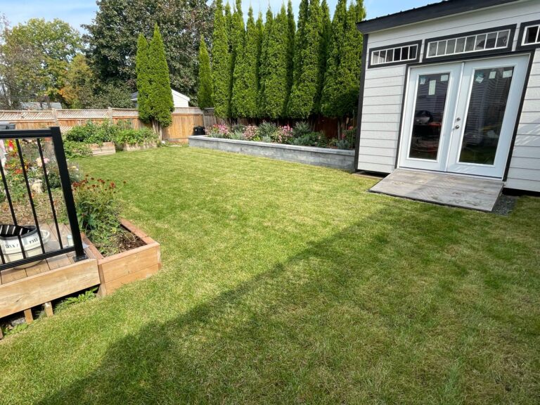 WhatsApp Image 2025-03-30 at 22.33.03_a14915de