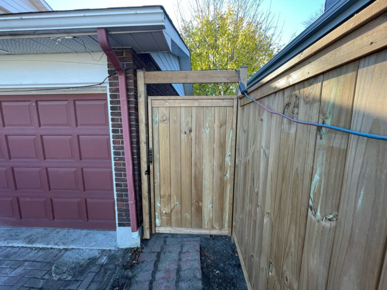 WhatsApp Image 2025-03-30 at 22.46.28_38a0c822