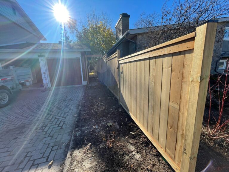 WhatsApp Image 2025-03-30 at 22.46.28_f0825cea